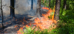 Development Permit Areas - Wildfire Hazard Thumbnail